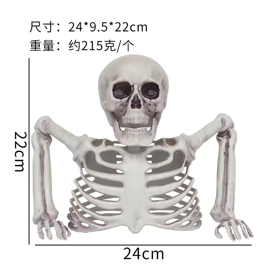 Skull and ribcage ground breaker dimensions: 24 x 22 cm