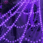 Giant Purple LED Spider Web with Mega Spider