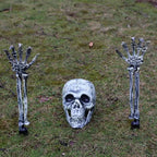 Skull and two skeleton arms pushed into the grass